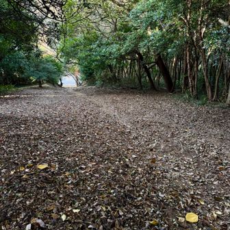 スタート直後、振り返る。
急登😱だった。低山あるある。