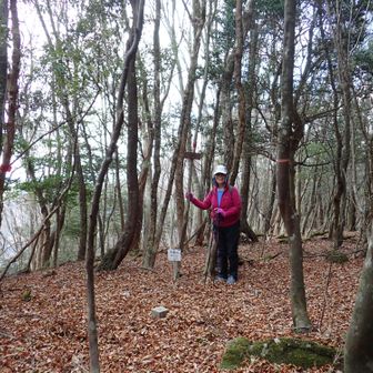 チーム代表山頂記念写真。
展望はほぼ無し。