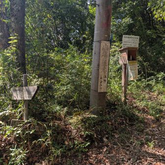 ここに到着する前に2匹ほどヤマビルに出会い、ここから5mくらい歩いたらヤマビルに出会ったので、心が折れて撤退です。
