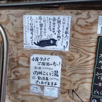 ここの猫ちゃんは支配人らしいです。皆さん敬いましょう😤