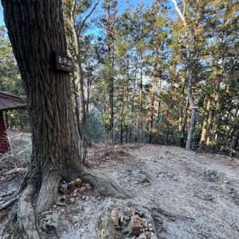 神社の裏に山名板あります！
大平山さんちょー🙌
