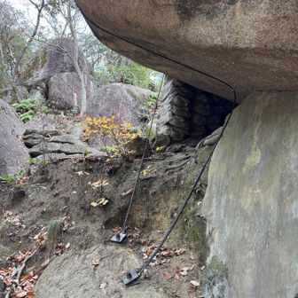 しっかり整備がされた山でした