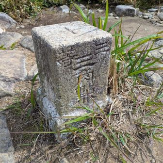 山頂標識から少し歩いた所に▲三角点があって、YAMAPでは、そこが山頂扱いになってました…
