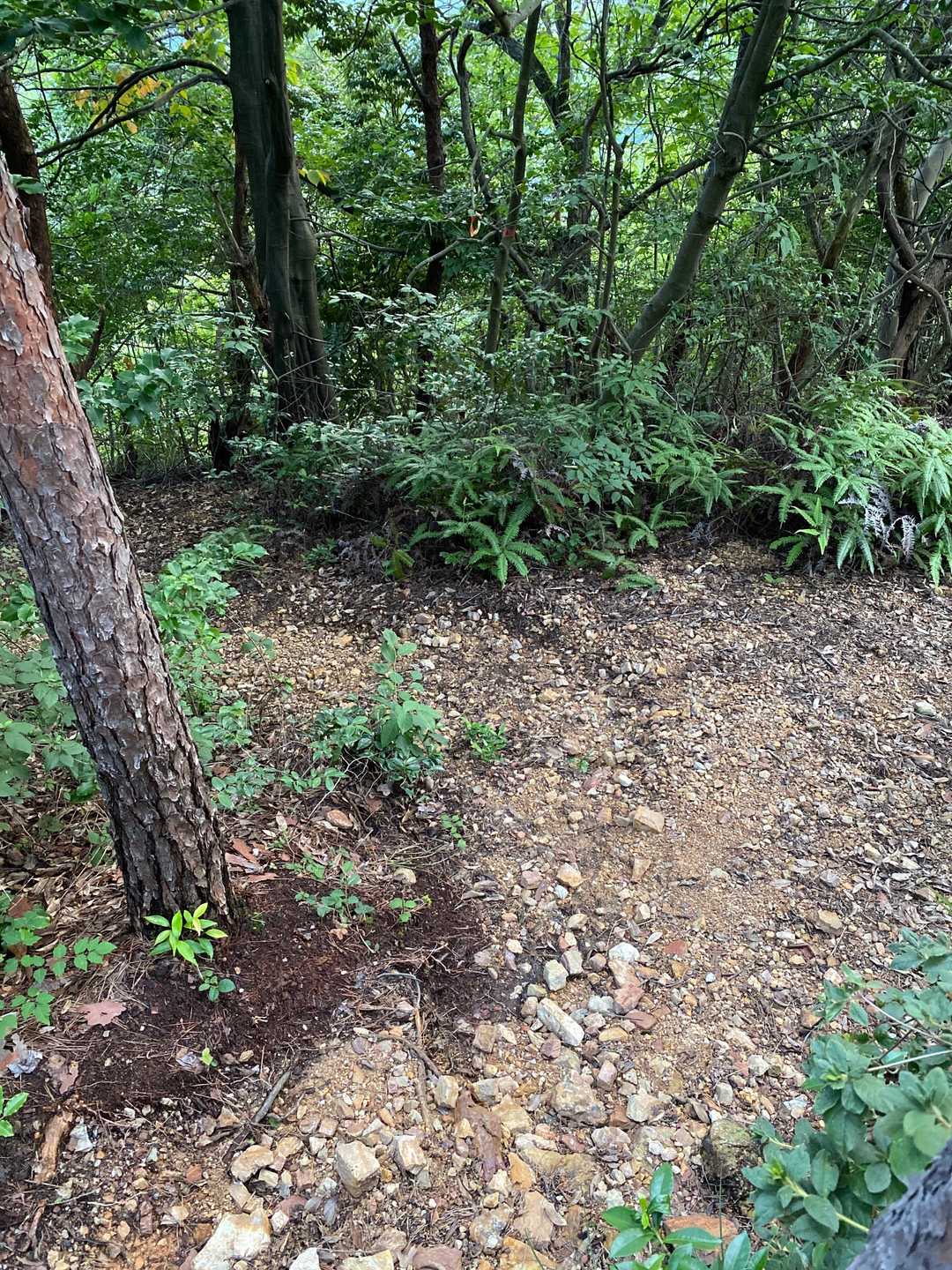 三叉路は左へ