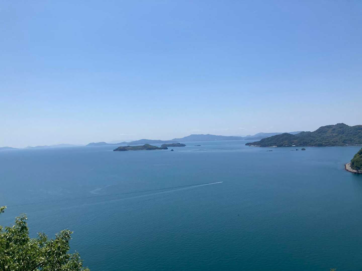 ただボーっと眺めるのが好き