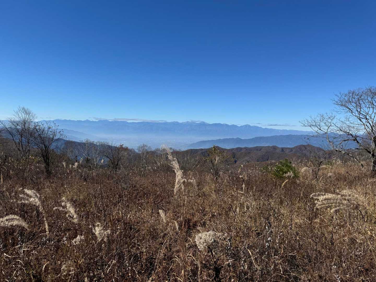 湯ノ沢峠登山口-湯の沢峠-白谷ノ丸-大蔵高丸-ハマイバ丸 周回コースの写真