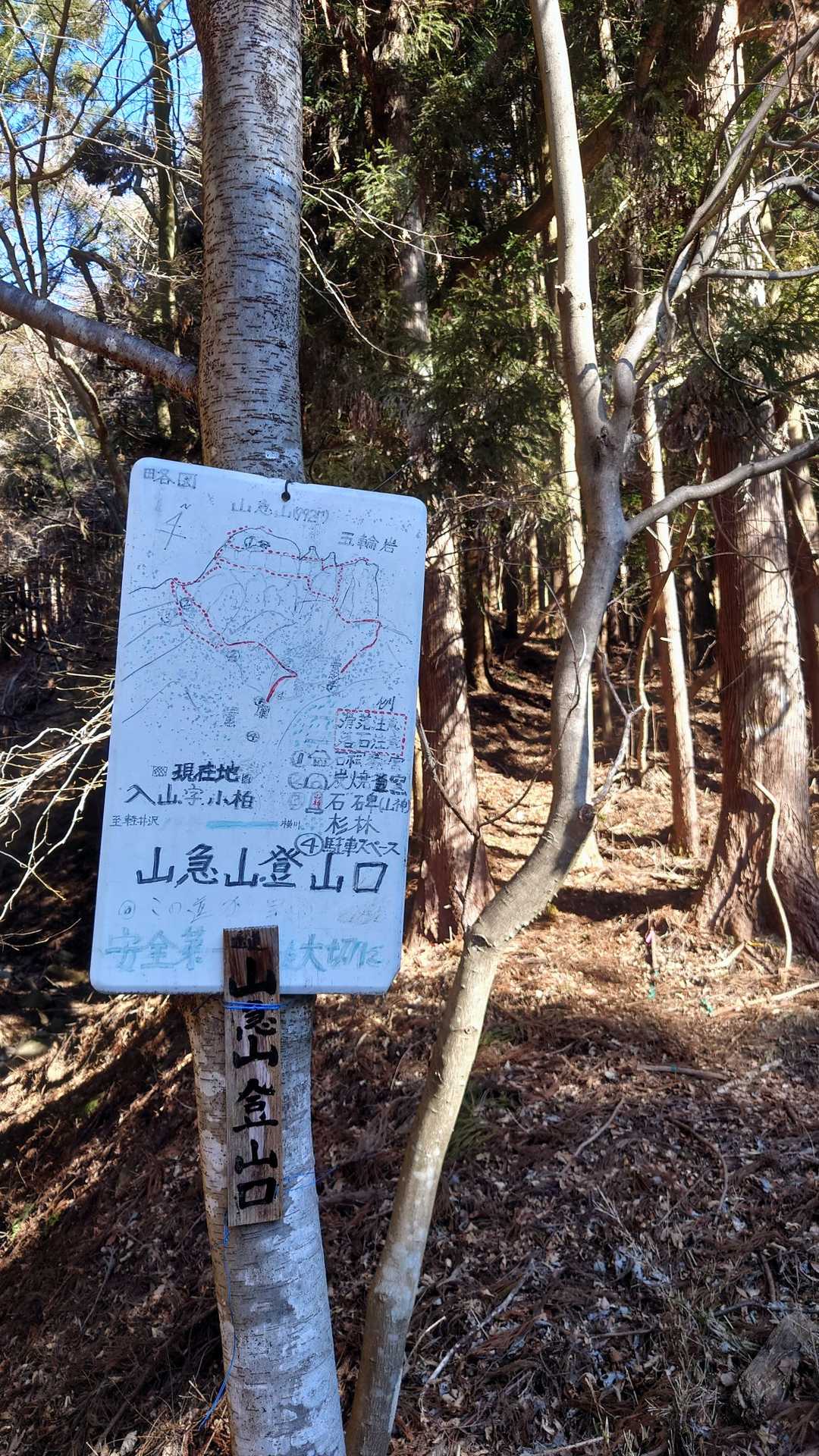 ここからルートで無く常に🎀を追って🚶