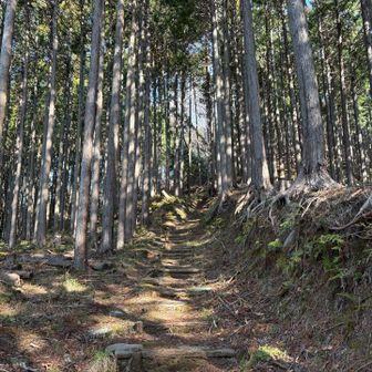 ハイキングコースです

アップにはちょうど良い
