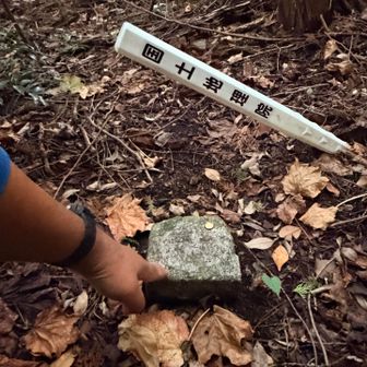 三角点があり、ここが石槌山山頂です。
石槌山  三等三角点🔺251.7m