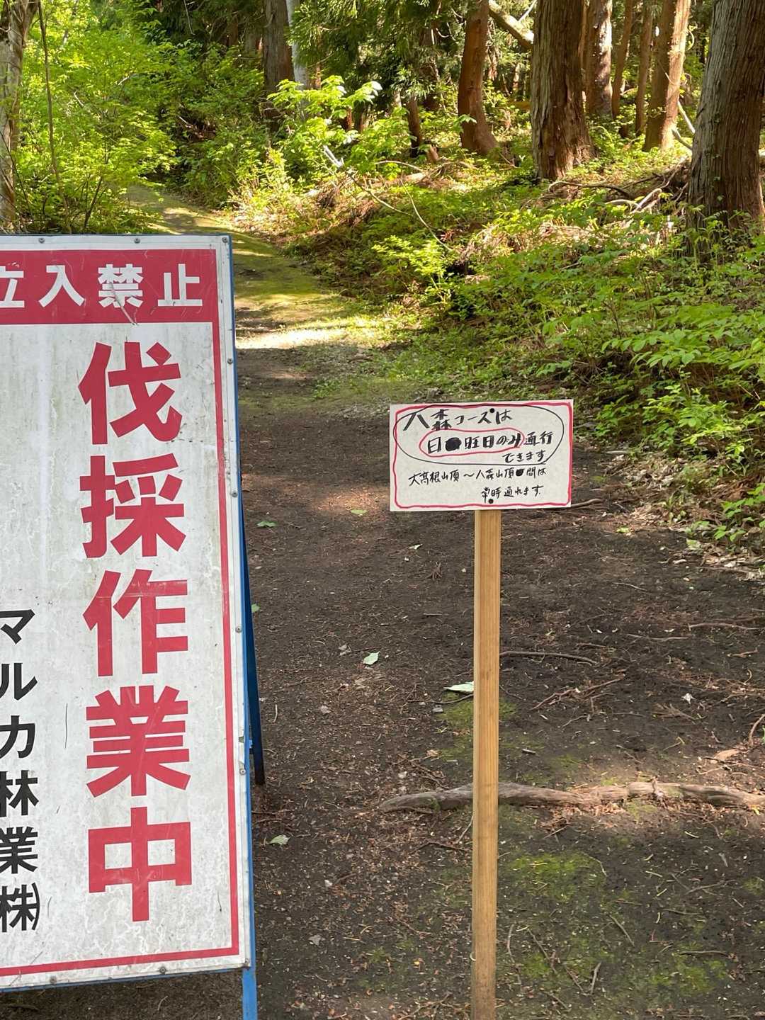 大高根山 周回コースの写真