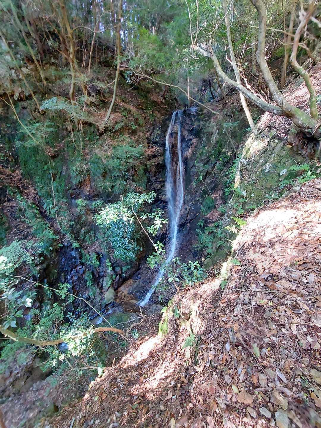 鎌ヶ岳 往復コースの写真