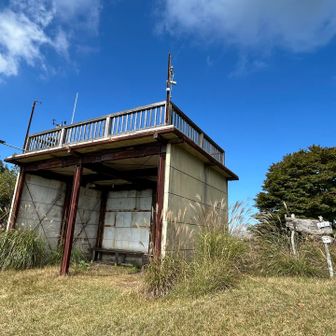 展望台もあるのですが、立ち入り禁止😅
周回ルートで下山予定でしたが、結構急そうだったので、来た道で下山することにした😌
走れるところは小走りで🏃‍♀️楽しい🎶
