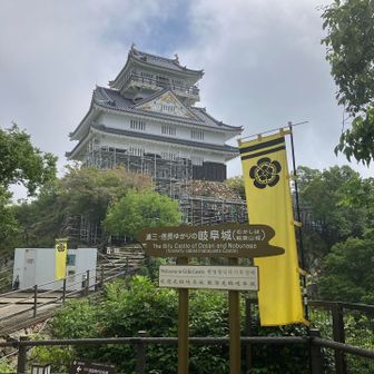 山頂までは風がなくて、蒸し暑かった〜💦