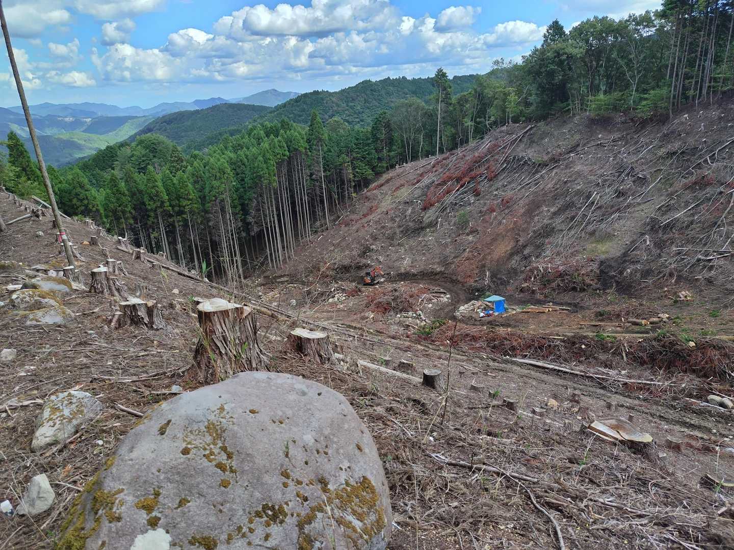 大石峠登山口-一尺八寸山 往復コースの写真