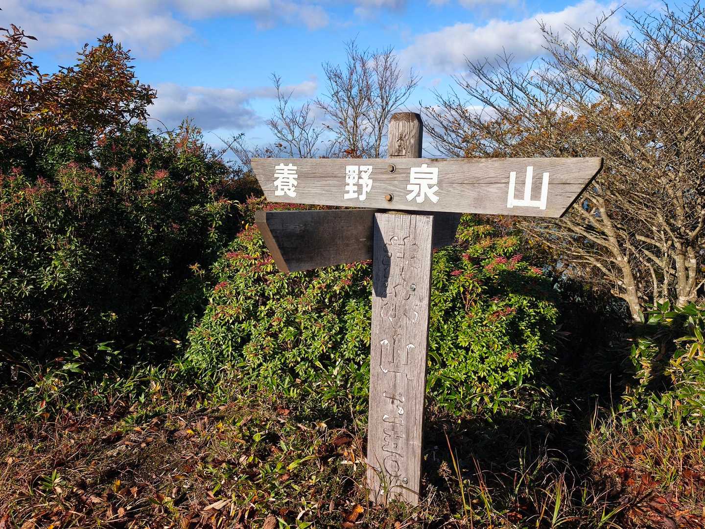 井水山⛰️