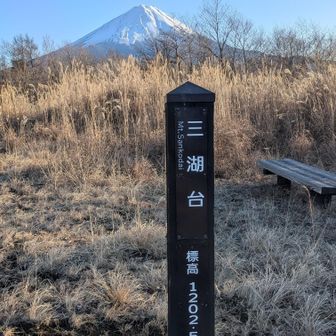 本日最後のピーク、三湖台