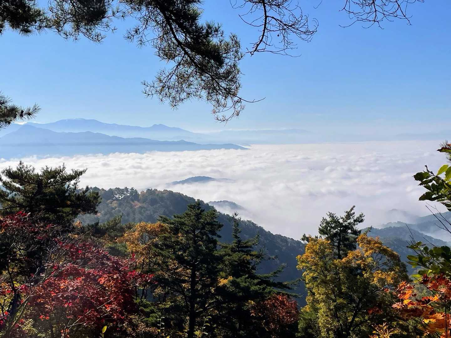 雲海の奥に蔵王さま