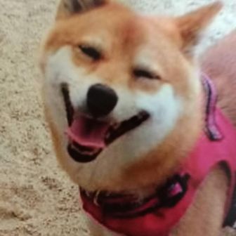 いわ吉