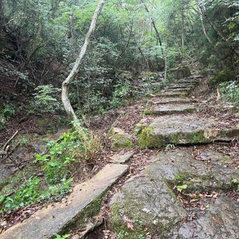 雨の徳川道が良かったなぁ、雨も小雨程度