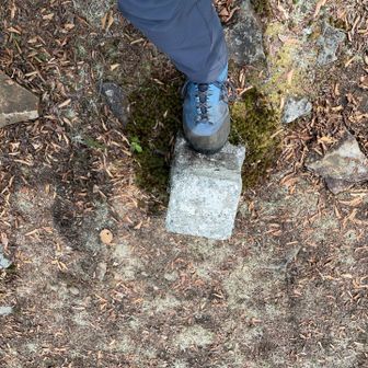 また機会があれば来るかも⁉️ん~⁉️