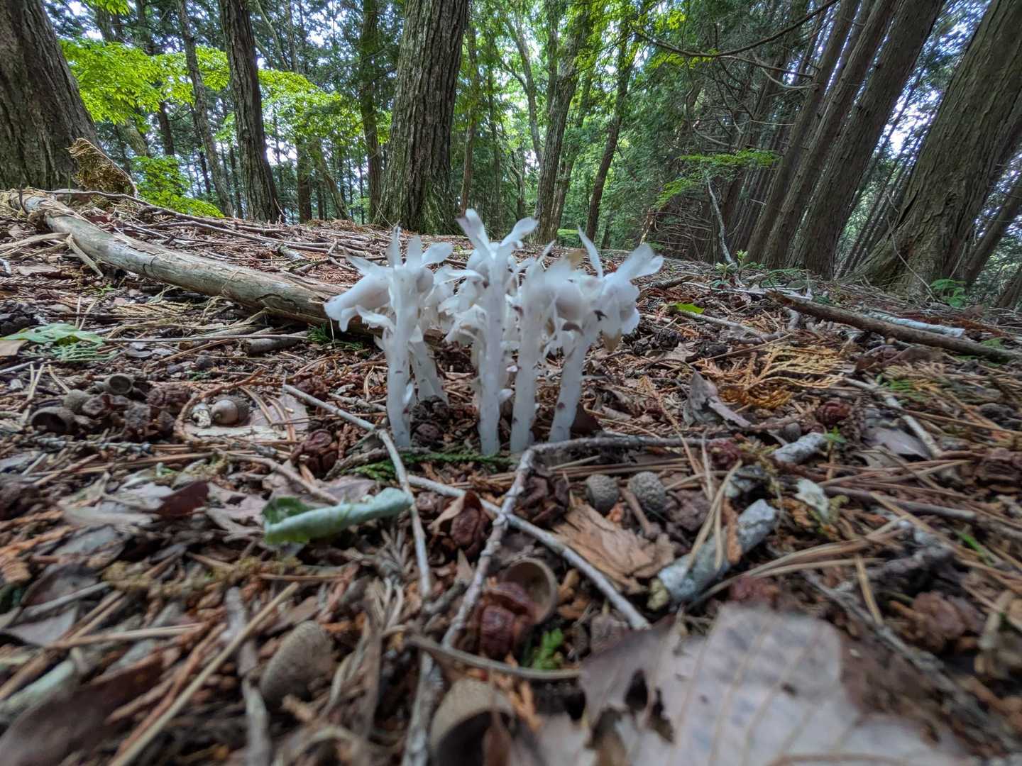 気を付けて👻