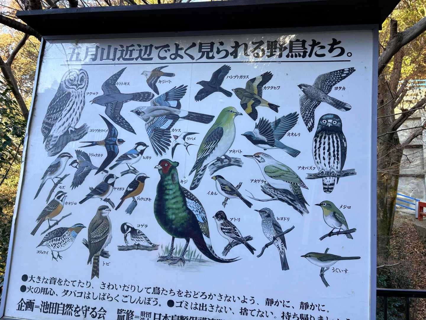 池田駅-五月山-六個山 縦走コースの写真