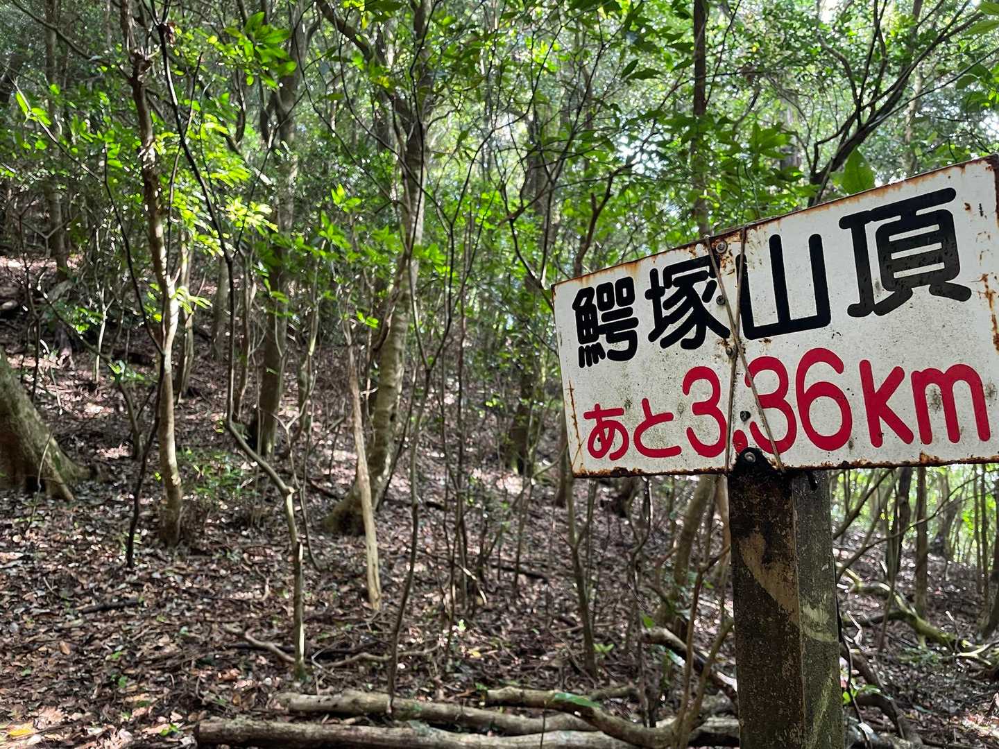 レポでよくみる距離表示
3.36ｋｍ　遠いなぁ💦