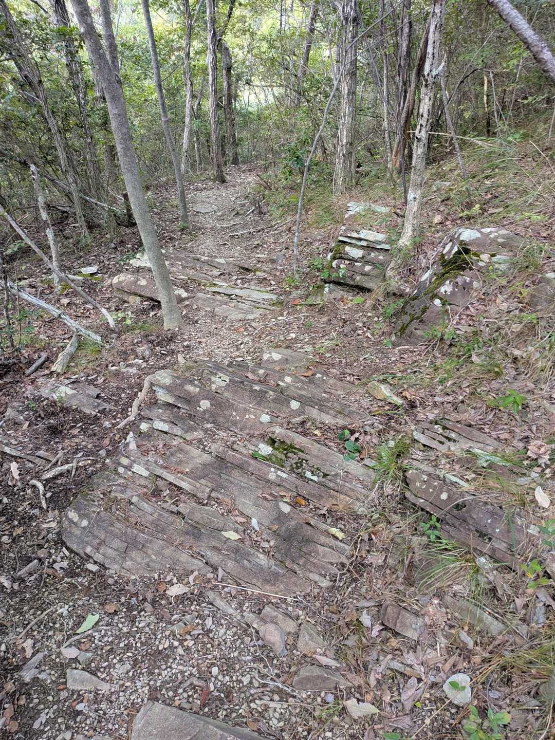 城山登山口-地蔵堂-城山 往復コースの写真
