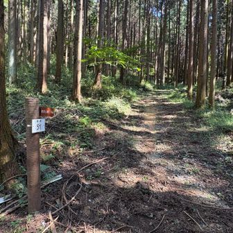 アスファルト道路に接した大蔵山入口。分かりやすい。