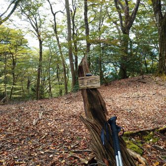 天神山登頂！結構頑張って登った割に標識ちょっとショボい😂(笑)