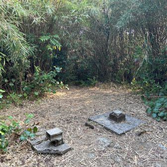 山頂は笹に囲まれて展望無し