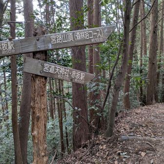 沢道へ向かい、帰ります