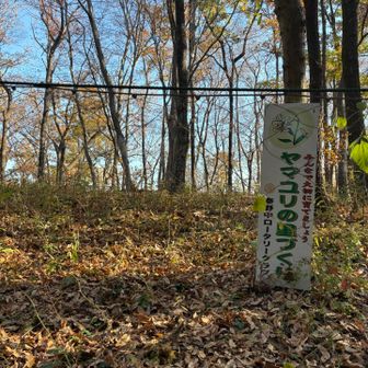 こちらの柵網の向こうが浅間台山頂みたい
入れず！標識も無し！