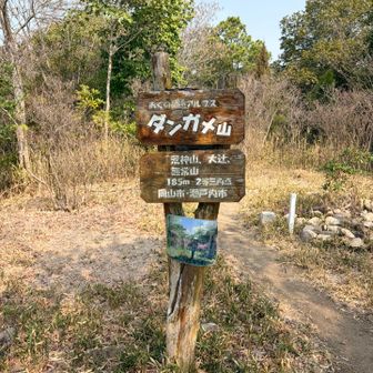 タンガメ山（３座目）
無常山  二等三角点🔺184.33m