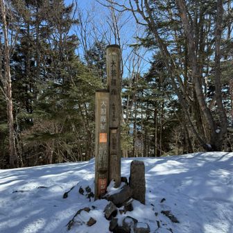 前回来た時は、曇りで上がらない子もいて、スピード下山したなー