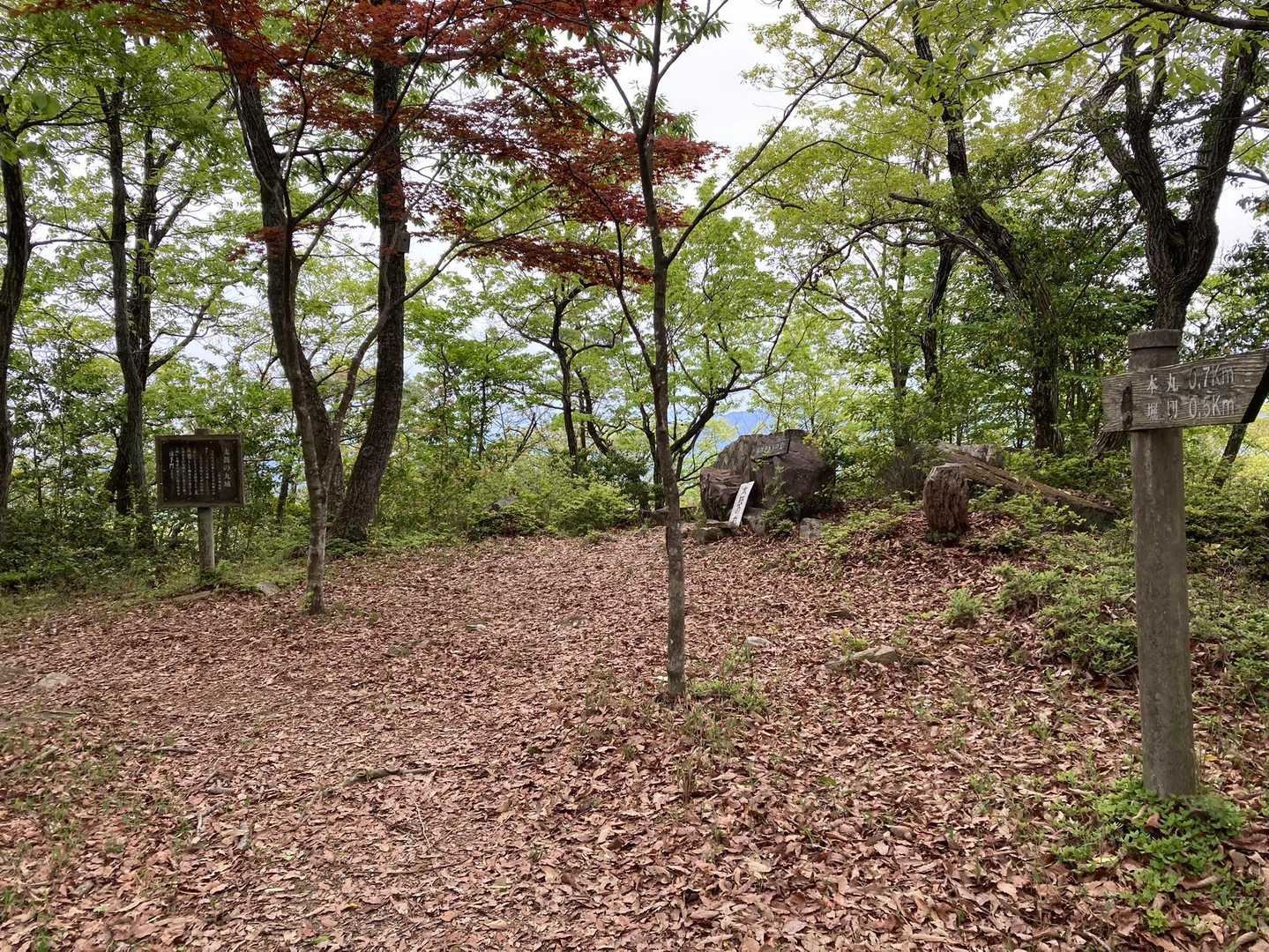 もうすぐ、山頂⛰かな～