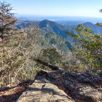 展望場所から、