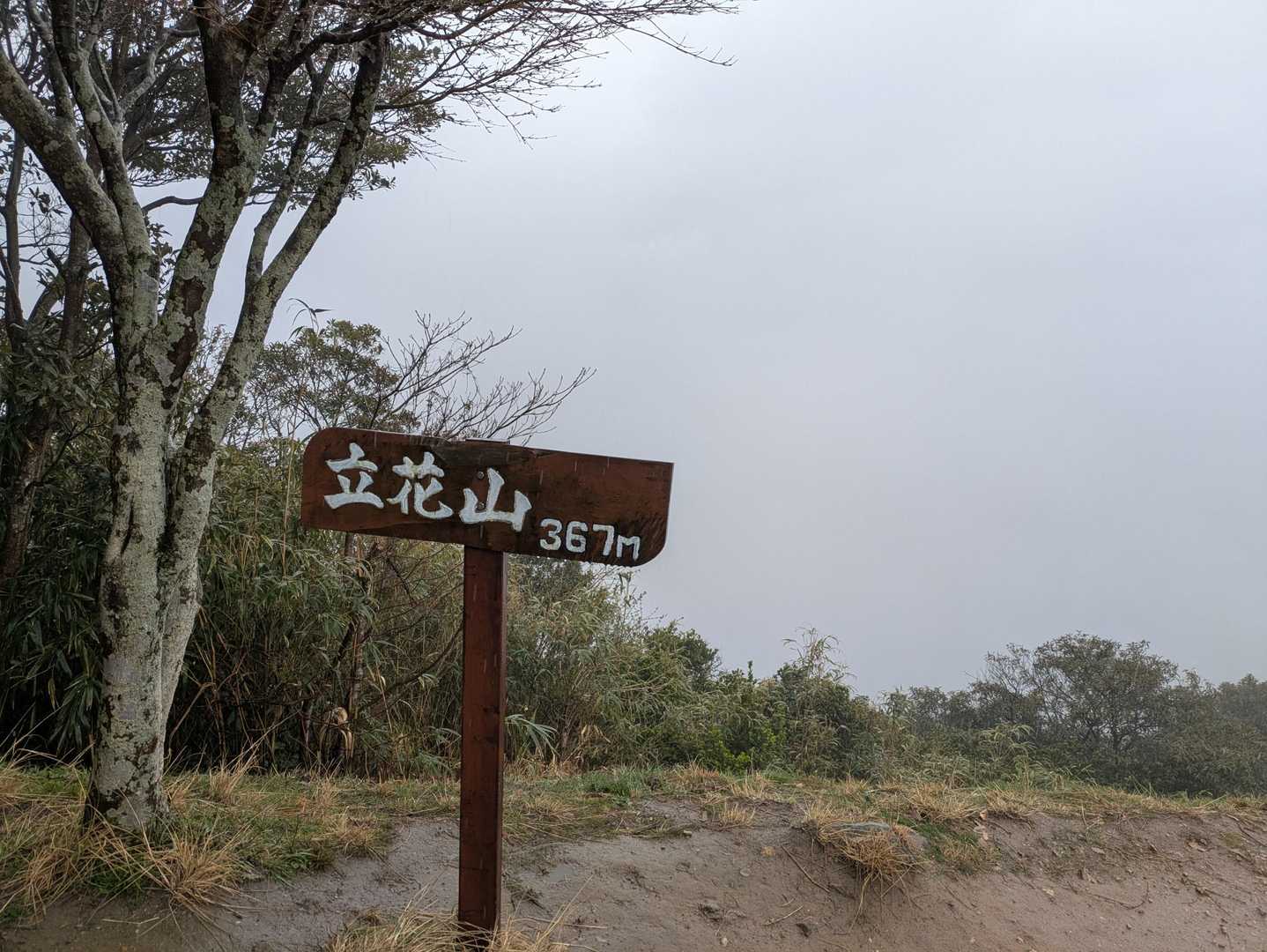 真っ白け！