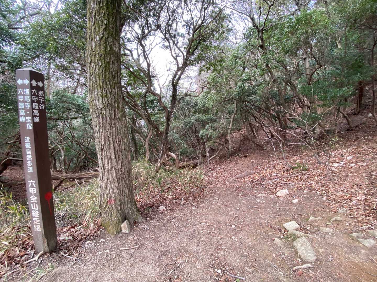赤子谷、いつか行ってみたい。
けど、ぱっと見、ルートどこ？って感じ。