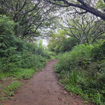 天園（159m）
