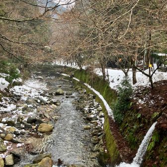 下りてきましたよ