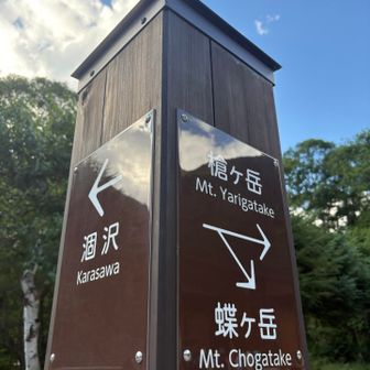 夢いっぱいの分岐😍
