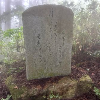 平安末期の歌人・西行の『立ちのぼる月のあたりに雲消えて光る重ぬる七越の峰』と詠われた歌碑が七越峠に建っていました。🌙

､､､が❗️この歌は、大峯奥駆道のある熊野に七越峯という山があり、西行が熊野を訪れた時に詠まれたという有力な説があります。🤔
この葛城修験ゆかりの峰や大峯奥駈道、熊野古道などを歩いていると必ず西行法師の名前が出て来るねーと七越峠で話していました。🤭