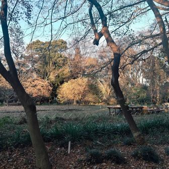 どこが山頂か分かりません…