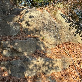 サルオキ岩🐒🪨付近の鎖場