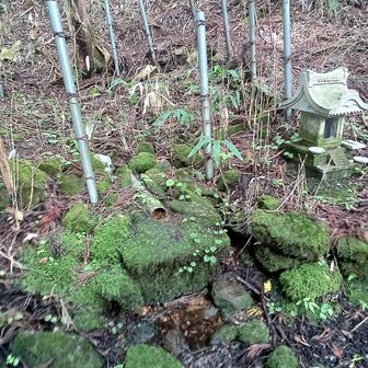甘草水に寄ってみる