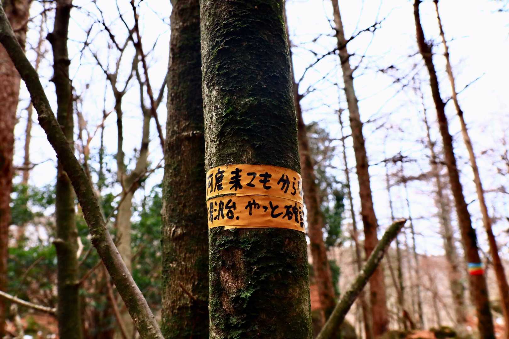 …だって、先人の苦労がそう物語っているから…。