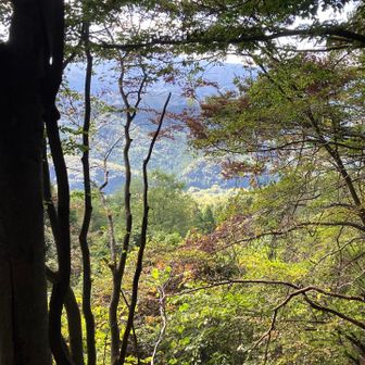 途中からキレイな景色が見える✨期待しながら頑張って頂上を目指す