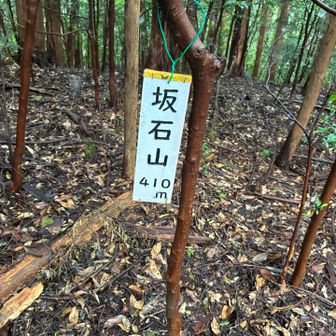 最初のピーク坂石山⛰️
西吾野駅から坂石山までは、かなりの急登です。
しかも西吾野駅から坂石山までのルートは、解りにくいので注意⚠️です。