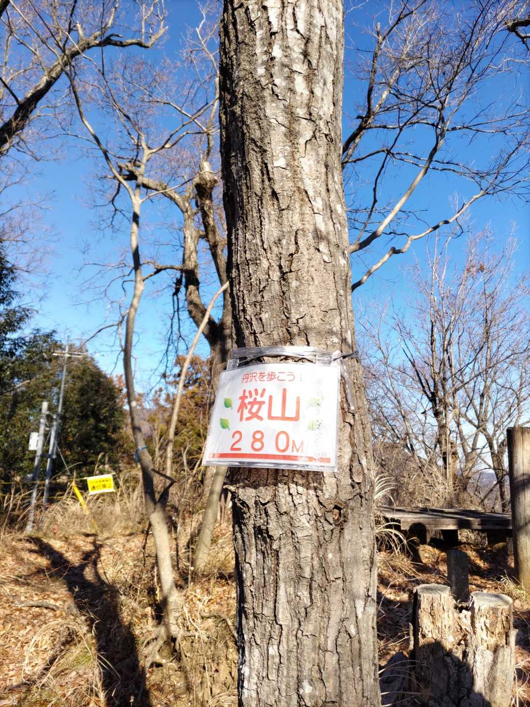 あっと言う間に桜山。